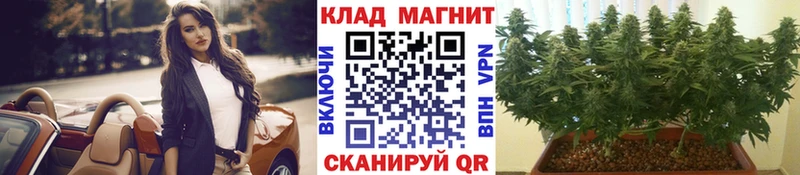 Какие есть наркотики Никольское АМФ  Мефедрон  Кокаин  ГАШ  Бошки Шишки 