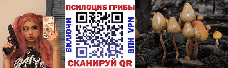 mega Никольское Галлюциногенные грибы Cubensis